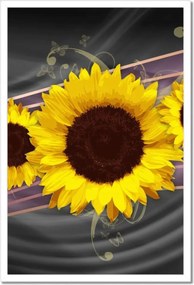 Poszterek keretben 40x60 Napraforgók