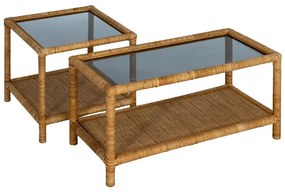 Natúr színű dohányzóasztal üveg asztallappal 40x90 cm – Ixia