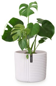 Fox & Fern Hasselt virágcserép polystonból, kézzel készített, 3D megjelenésű növények számára alkalmas.