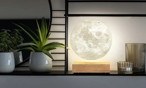 Lámpa "Moon", kőris - Gingko