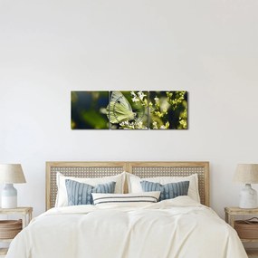 Pillangó képe (órával) (90x30 cm)