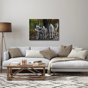 Kép - Farkasok a sziklán (70x50 cm)