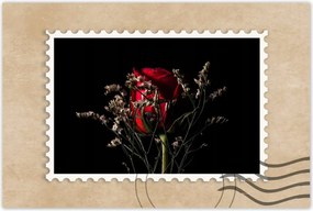 Poszterek 120x80 Rózsa Virág Virágok Rózsa