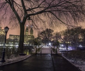 Poszter 60x50cm Esti kilátás a Central Parkra, Assaf Frank