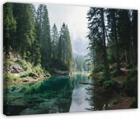 Vászonkép Erdő 3D Fák Természet Tájkép Hálószoba Nappali Vászon 100x70