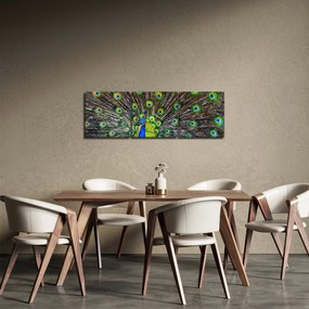 Kép - Páva (órával) (90x30 cm)