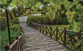 Fotótapéta Szőlő lépcső kert vinil zöld 368x254 +ragasztó