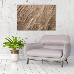 Kép - Az arany mező (90x60 cm)