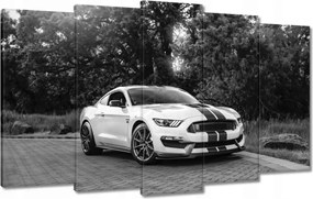 Képek 100x60 Sportos Ford Mustang