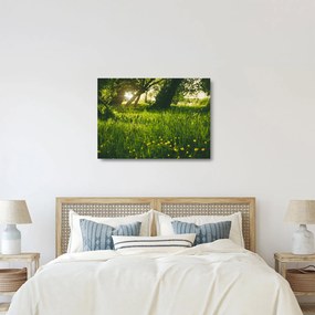 Tájkép - rét (üvegen) (70x50 cm)