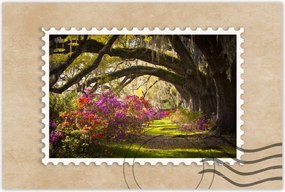 Poszterek 120x80 Tölgyfa sikátor