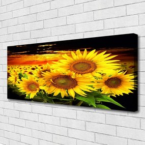 Canvas kép Napraforgó virág növény 120x60 cm