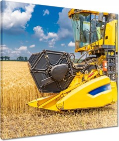 Vászonkép 50x50 Érett termések gyűjteménye