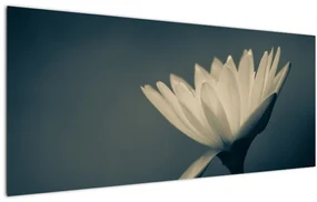 Virágos kép (120x50 cm)