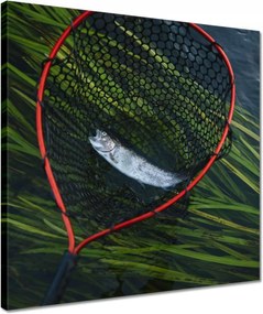 Vászonkép 40x40 Halász és pisztrángháló