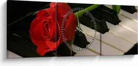 Kép - Zongora és rózsák (órával) (90x30 cm)