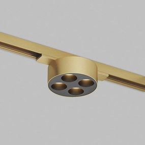 DK/EU-5772-SB Shine Track light, GRILL 3000 series, D74*H28, LED, 48V DC, 6W, RA≥90, 3000K, IP20, satin brass color, aluminum — DK/EU-5772-SB