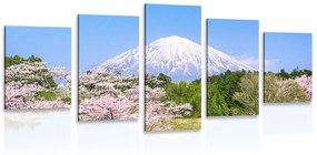 5 részes kép Fuji vulkán