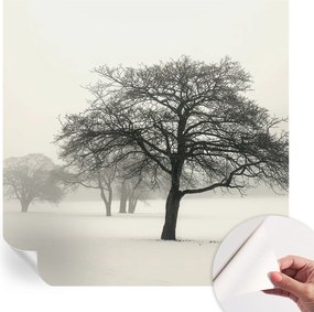 Dekoratív öntapadós fotótapéta Hálószobába Téli fák 250x250 cm