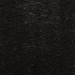 HUARTE fekete rövid szálú puha és mosható szőnyeg 120 x 170 cm