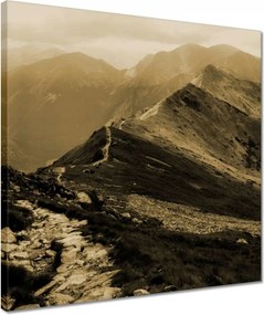 Vászonkép 40x40 Tátra Lengyel hegyek Kilátás