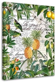 Gario Vászonkép Trópusi gyümölcsök és kalligráfia - Andrea Haase Méret: 40 x 60 cm
