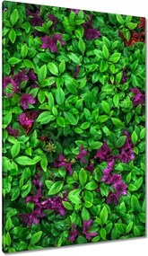 Vászonkép 80x120 Kerti azálea