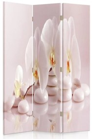 Gario Paraván Zen orchideák Méret: 110 x 170 cm, Kivitelezés: Klasszikus paraván