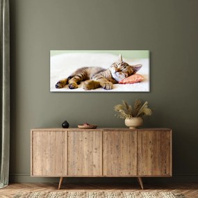 Kép - alvó cica (120x50 cm)