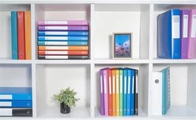 Gyűrűs könyv, 4 gyűrű, 40 mm, A4, PP, EXACOMPTA, piros (EX512805E)