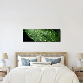 Kép - Levél eső után (órával) (90x30 cm)