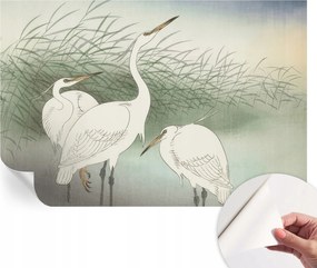 Modern öntapadós fotótapéta Mosható sapkák a fűben 104x70 cm