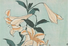 Fali fotótapéta Étkezőbe Finom liliomok 152x104 Ragasztó