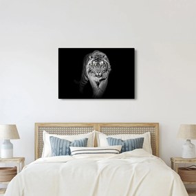 Kép - Sárga szemű tigris (90x60 cm)