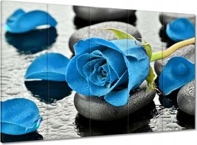 Vászonkép 100x70 Kék rózsa kövek