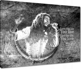 Vászonkép 80x60 Bob Marley koncert