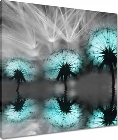 Vászonkép 50x50 Türkiz pitypangok Víz