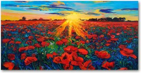 Fotó kép edzett üveg pipacs mező 140x70