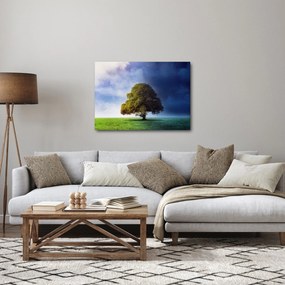 Kép - Éjjel - nappal (70x50 cm)