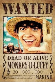 Plakát One Piece - Wanted Monkey D. Luffy, (61 x 91.5 cm)