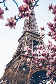 XXL poszter Paris - Eiffel Tower, (80 x 120 cm)
