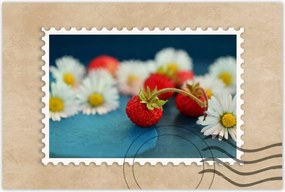 Poszterek 90x60 Vízszintes és margaréta