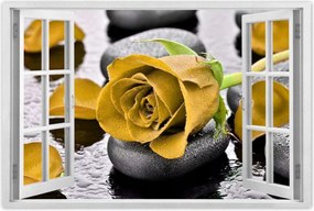 Poszterek 120x80 Sárga rózsa köveken
