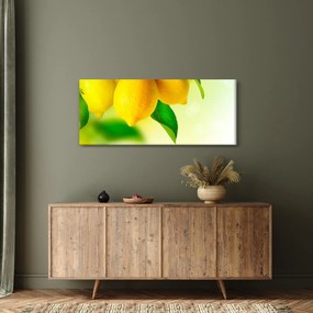 A citrom képe (120x50 cm)