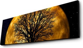 Vászonkép, 30×90 cm – 3090DACT-71