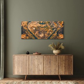 Kép - Szív alakú folyó (120x50 cm)