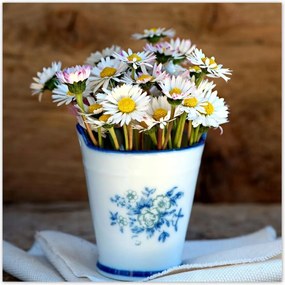 Poszterek 30x30 Reggeli margaréták