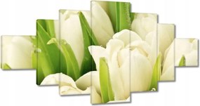 Képek 200x100 Finom tulipánok