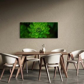 Tűlevelű képé (120x50 cm)
