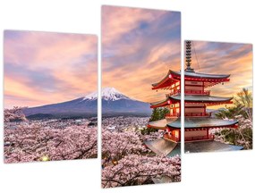 Kép - Fuji, Japán (90x60 cm)